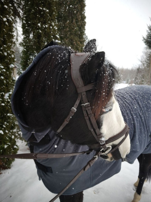 Уздечка с вышивкой и анатом затылочным - фото3